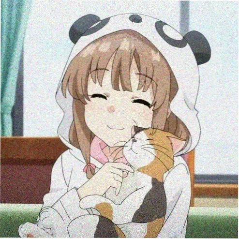 观众头像